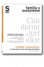 La ejecución en los procesos de familia. Gastos extraordinarios