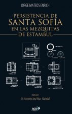 Persistencia de Santa Sofía en las mezquitas otomanas de Estambul
