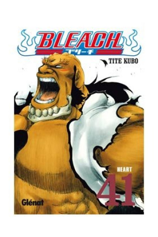 BLEACH 54