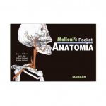 SECRETOS DE ANATOMIA
