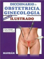 Diccionario de obstetricia y ginecologia ilustrado