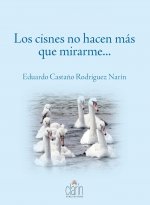 Los cisnes no hacen más que mirarme