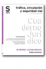 Culpa exclusiva
