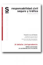 DAÑOS PERSONALES EN ACCIDENTES DE CIRCULACION