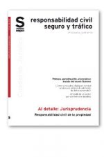 Responsabilidad civil de la propiedad