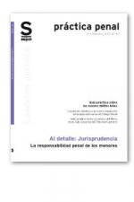 La responsabilidad penal de los menores