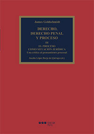 Derecho, derecho penal y proceso. Tomo III