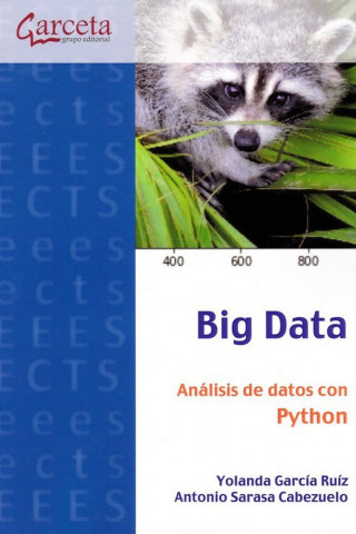 Big Data