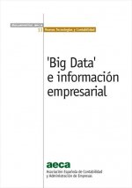 'BIG DATA' E INFORMACION EMPRESARIAL