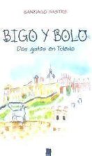 BIGO Y BOLO. DOS GATOS EN TOLEDO