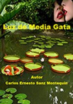 Luz de Media Gata