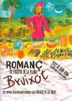 Romanç de l'Esteve de la Plana, bruixot