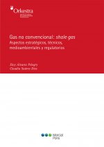 Gas no convencional: shale gas