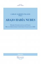 Abajo había nubes