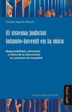 El sistema judicial infanto-juvenil en la mira