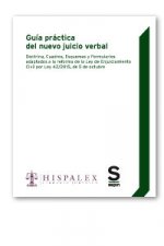 Gu­a práctica del nuevo juicio verbal