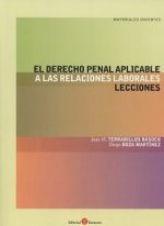 El Derecho Penal aplicable a las relaciones laborales. Lecciones