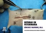 SUSTITUTOS OSEOS UTILIZADOS COMO ALTERNATIVA A LOS INJERTOS DE HUESO REVISION DE LA LITERATURA