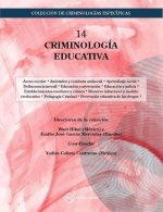 CULTURAL ELEMENTS IN YEAR 4 OF SPANISH SECONDARY EDUCATION TEXTBOOKS` AND LEARNERS PERSPECTIVES