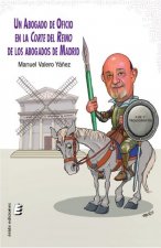 Un abogado de oficio en la corte del reino de abogados de Madrid