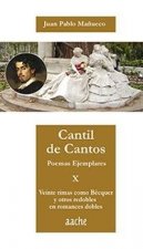 Veinte rimas como Bécquer y otros redobles en romances dobles