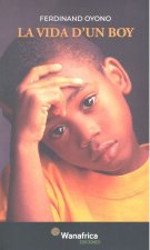 La vida d'un boy