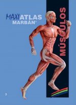 Maxi Atlas Musculos T.3