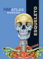 Maxi Atlas 4 Esqueleto