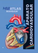 Maxi Atlas 6 Aparato Cardiovascular