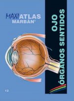 Maxi Atlas Ojo.Organos de los Sentidos T.12