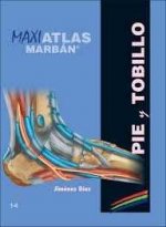 Maxi Atlas 14 Pie y Tobillo