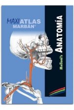 Maxi Atlas Melloni's Anatomia T.15