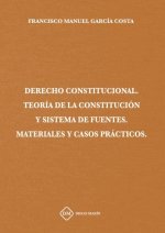 DERECHO CONSTITUCIONAL TEORIA DE LA CONSTITUCION Y SISTEMA DE FUENTES MATERIALES Y CASOS PRACTICOS