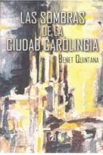 Sombras de la ciudad carolingia, Las