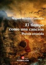 TIEMPO COMO UNA CANCION,EL