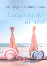 LARGAS TARDES DE AZUL