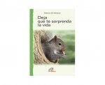 Deja que te sorprenda la vida