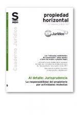 La responsabilidad del propietario por actividades molestas