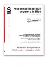 Vehículo a motor y hecho de la circulación