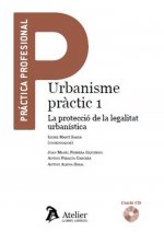 Urbanisme pràctic 1. La protecció de la legalitat urbanística.