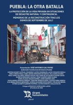 Puebla: La Otra Batalla La Protección De La Vida Privada En Situaciones De Desastre Natural Y Contin