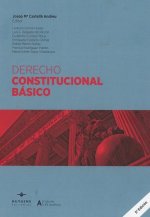 DERECHO CONSTITUCIONAL BASICO 2019