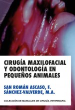 BREVE REPASO A LA HISTORIA DE LA MEDICINA