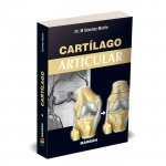 CARTILAGO ARTICULAR