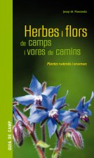 Herbes i flors de camps i vores de camins