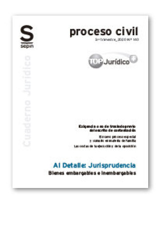 Bienes embargables e inembargables