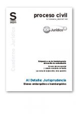 Bienes embargables e inembargables