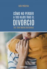 Cómo no perder a tus hijos tras el divorcio. Guía práctica