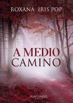 A medio camino