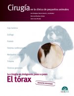 EL TORAX CIRUGIA EN LA CLINICA DE PEQUEÑO